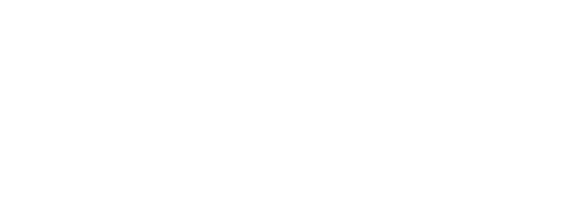 white logo veduthuyen.vn